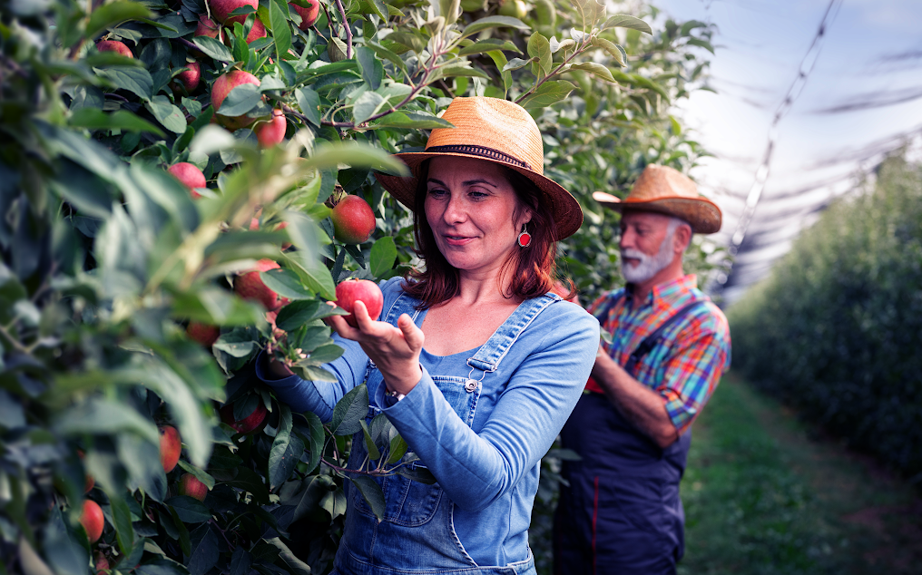 agronegocio-skyone-tecnologia.jpg - Agribusiness and Skyone